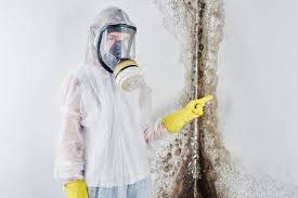 Best Mold Odor Removal Services  in Hico, TX